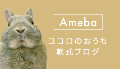 Ameba　ココロのおうち　軟式ブログ