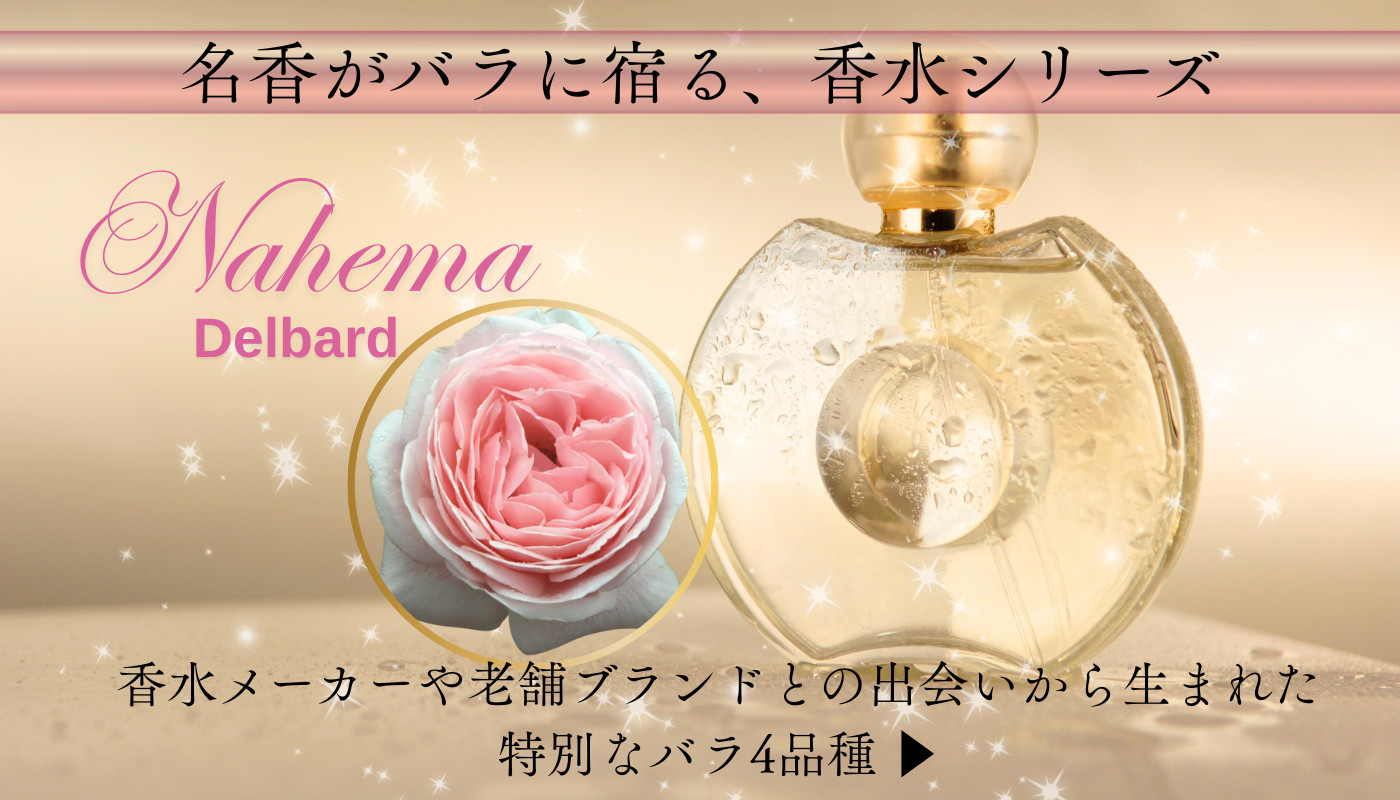 香水シリーズ