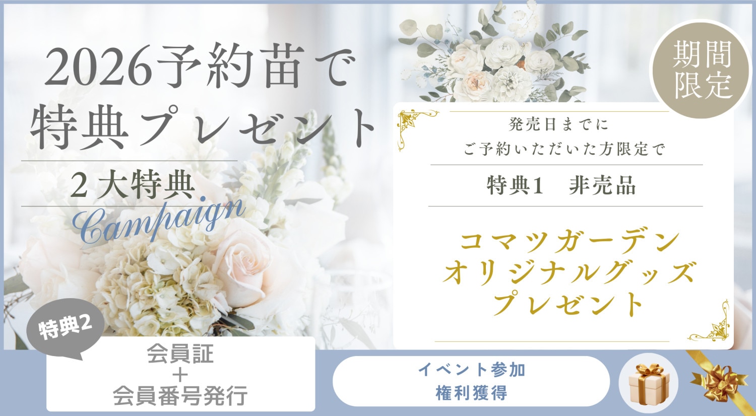 予約特典2026