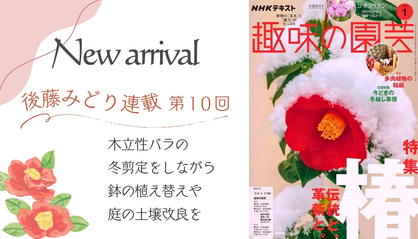 趣味の園芸1月号2026