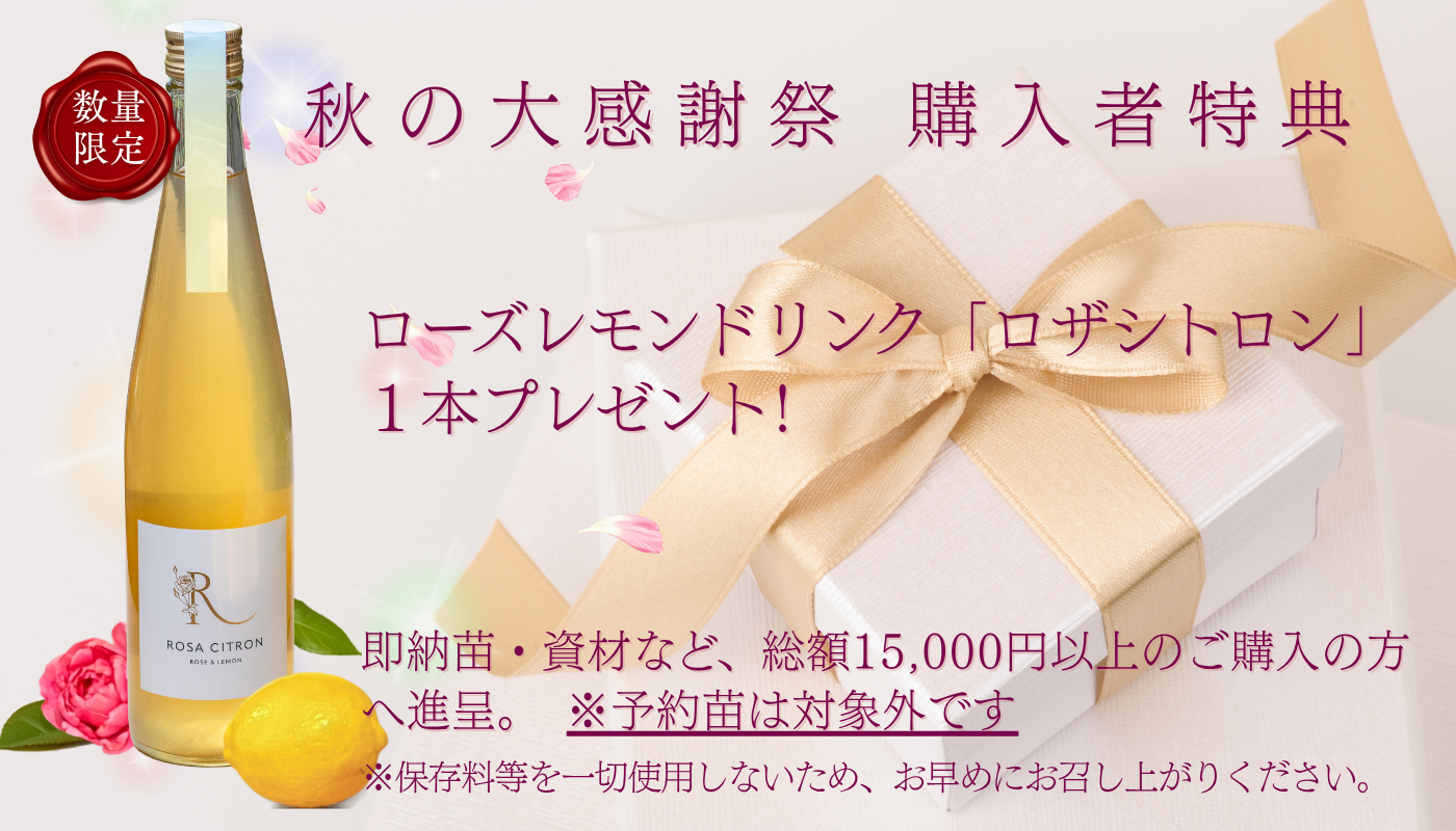 特集_秋の大感謝祭 2026｜コマツガーデンオンラインショップ