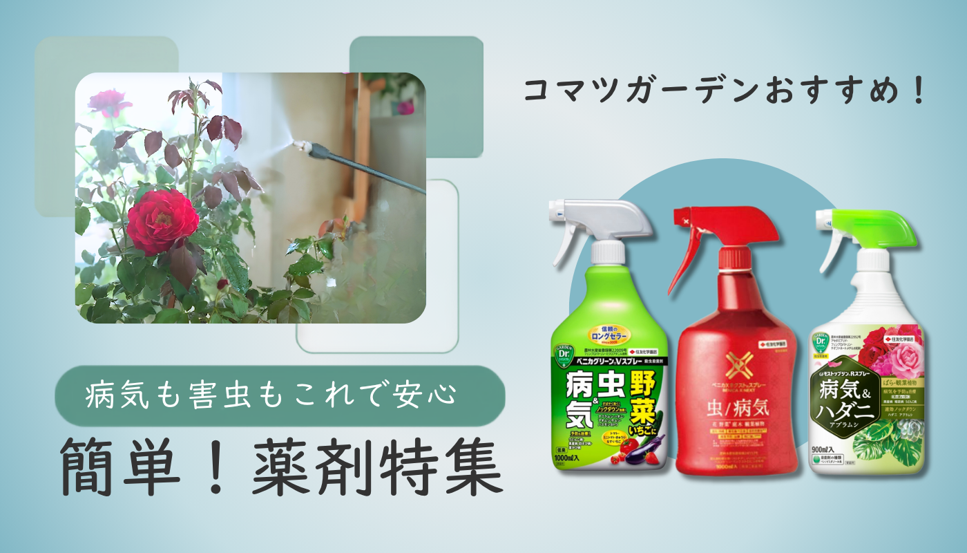簡単薬剤特集