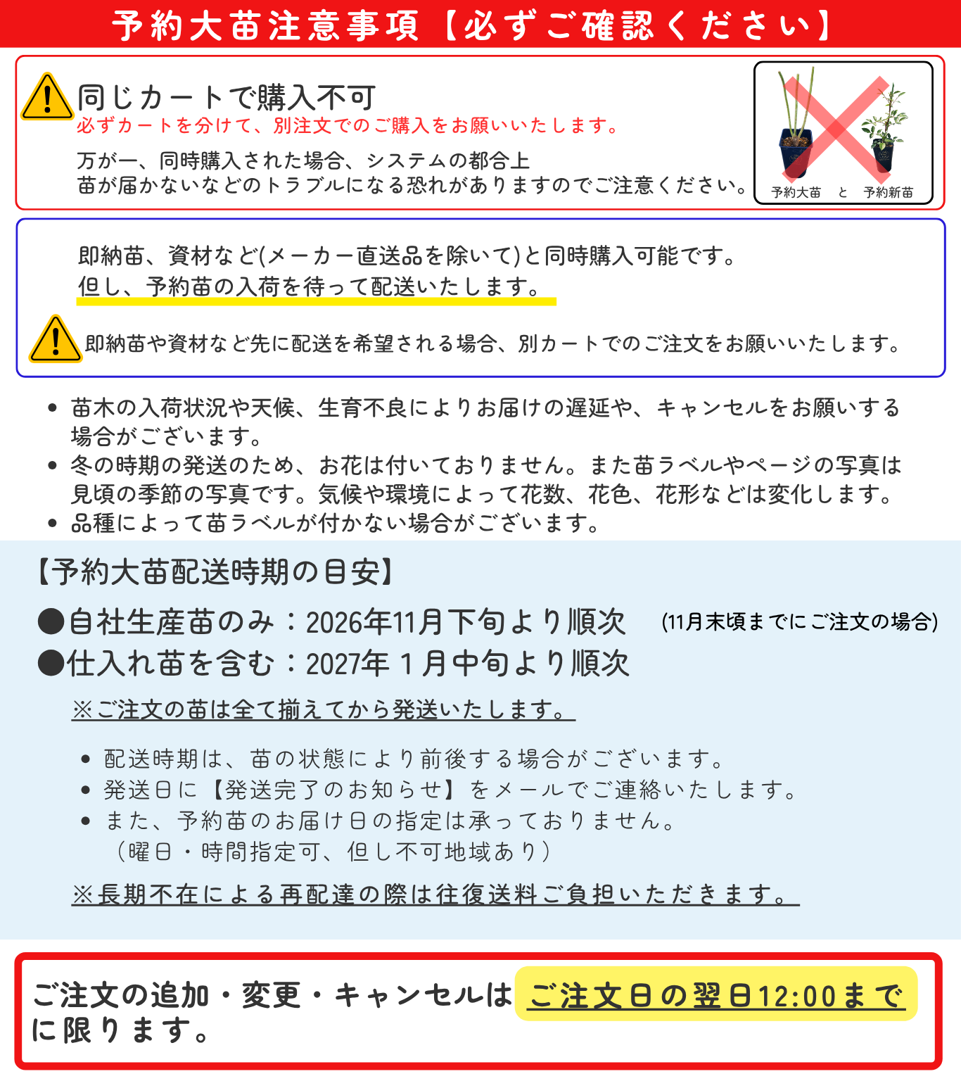 バラ苗 予約大苗 2027 ピンク パラダイス Pink Paradise 国産ノイバラ