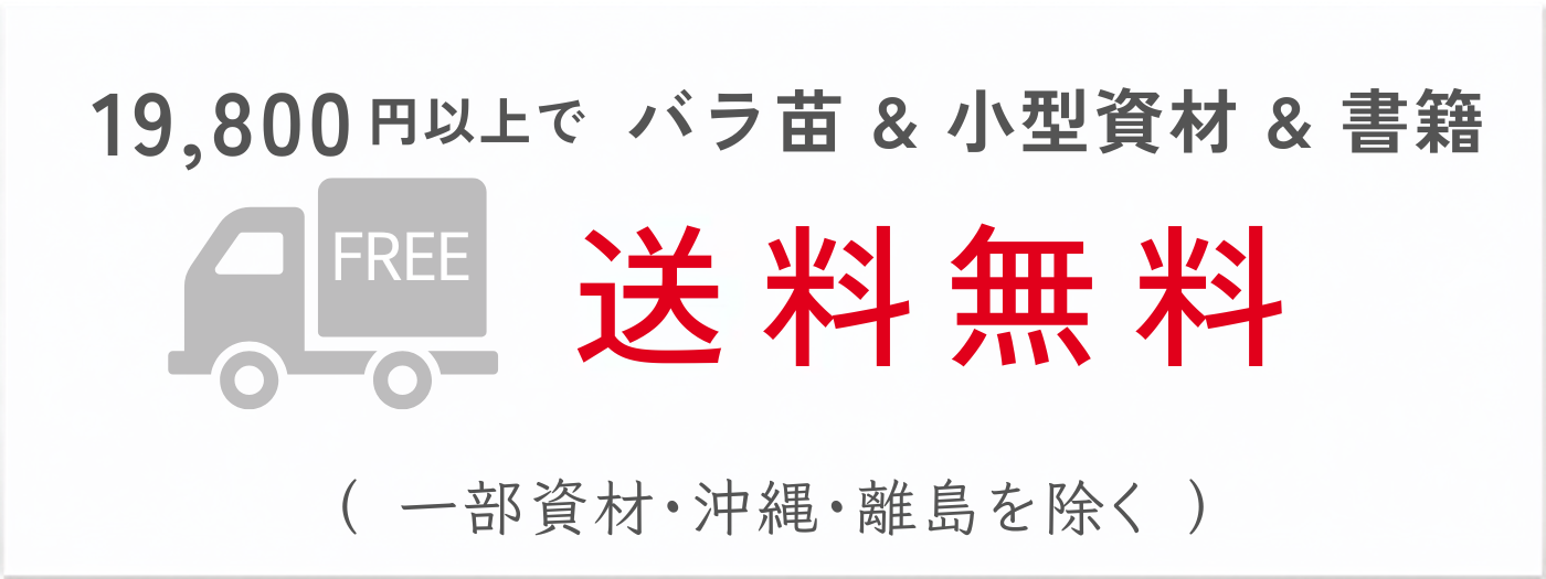 19800円以上で送料無料