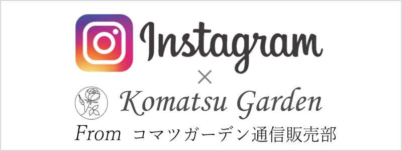 インスタ