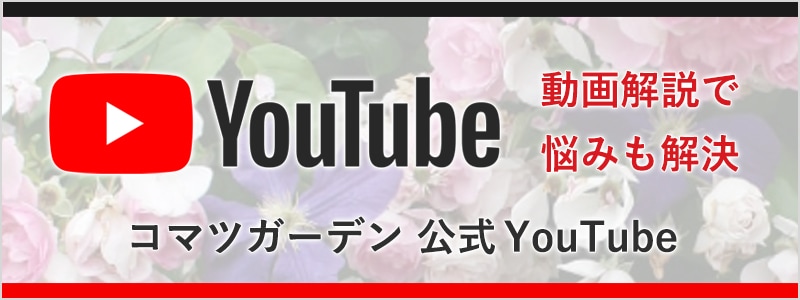 公式YouTube