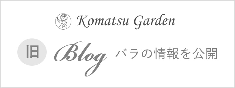 旧Blog