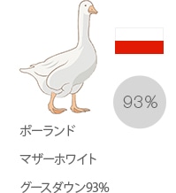 ݡɥޥۥ磻ȥ93%