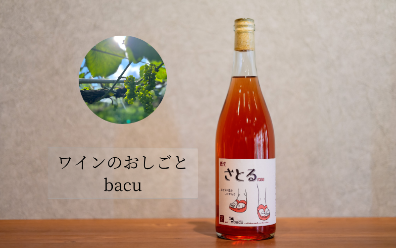 ワインのおしごとbacu