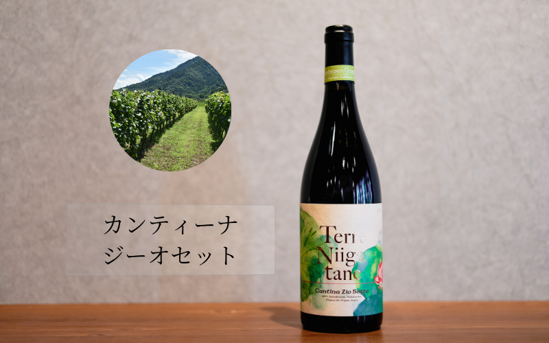 カンティーナジーオセット