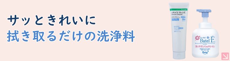 リモイスクレンズ ハンディーの通販 アルケア