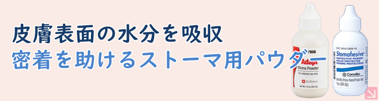 アダプトストーマパウダーの通販 ホリスター（当日発送あり）