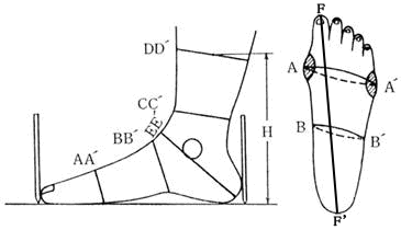 足型の取り方（各部位の採寸位置）