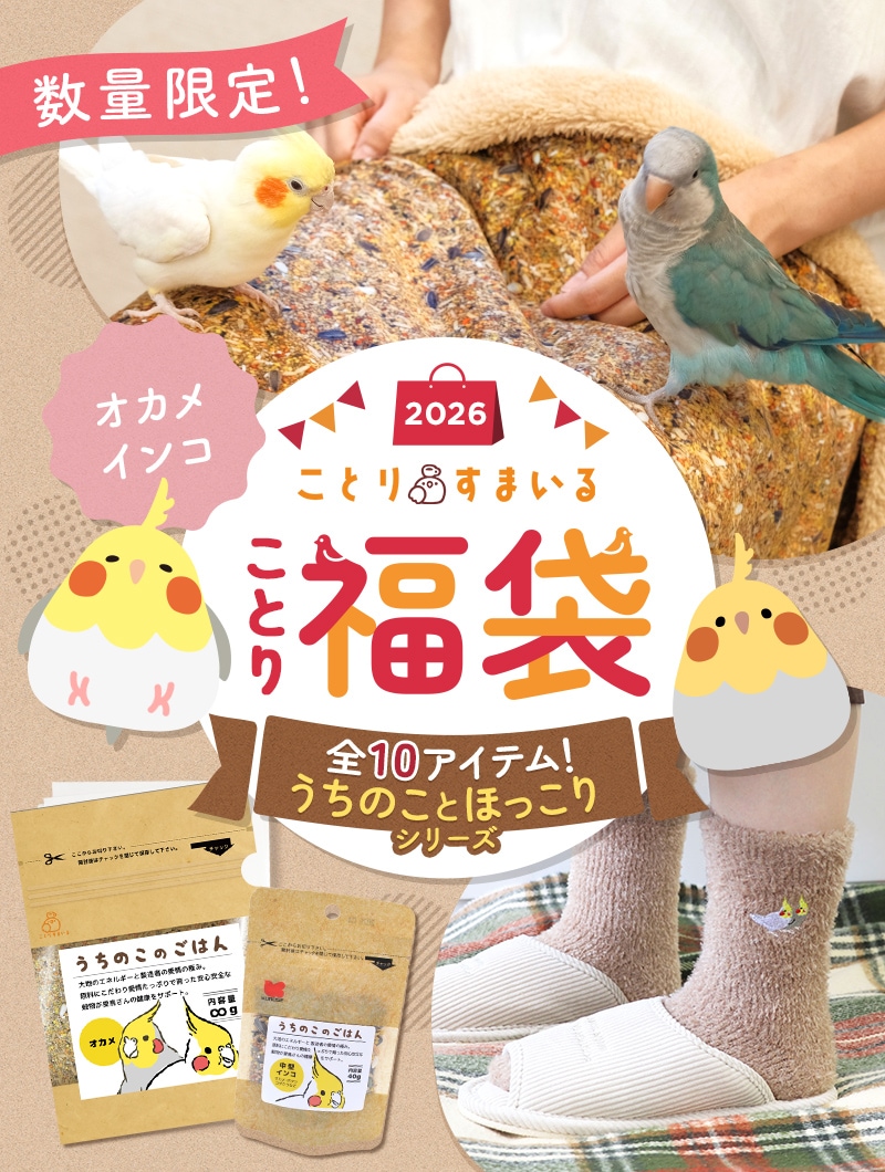 ���Ȥ�ʡ��