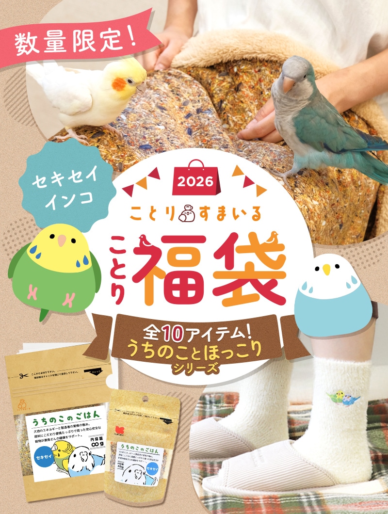 ���Ȥ�ʡ��