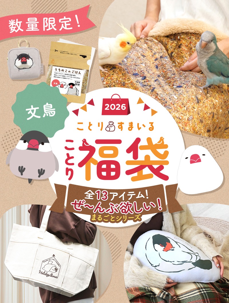 ���Ȥ�ʡ��