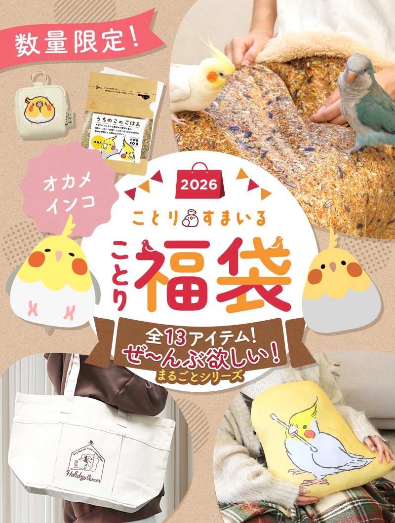 ���Ȥ�ʡ��