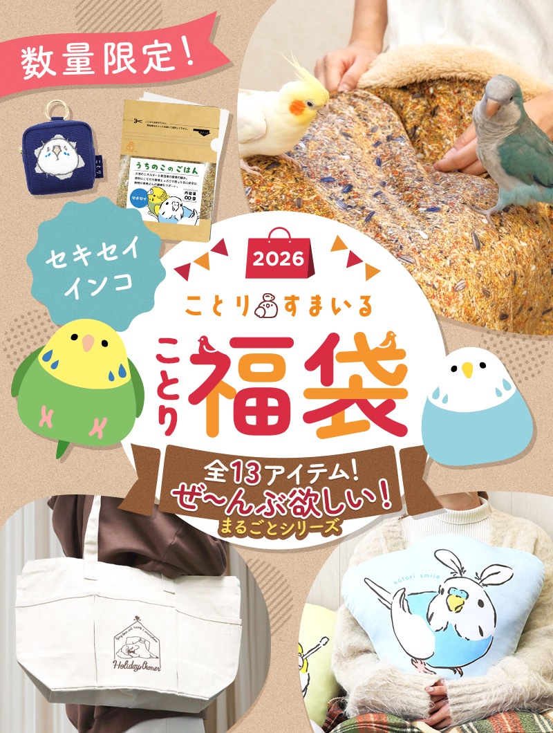 ゆきんこ 中身の見える福袋2026② 緊急追加販売！】＼数量限定／ことり福袋2026☆ぜーんぶ欲しい