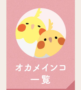 �����ᥤ�󥳰���