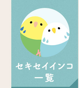 �����������󥳰���