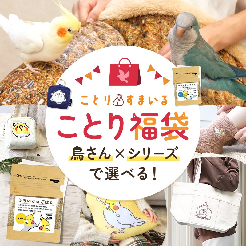 ���Ȥ�ʡ��2026