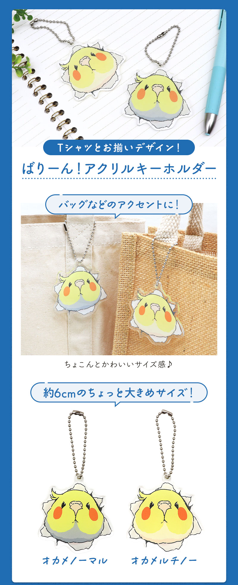 2026夏の福袋