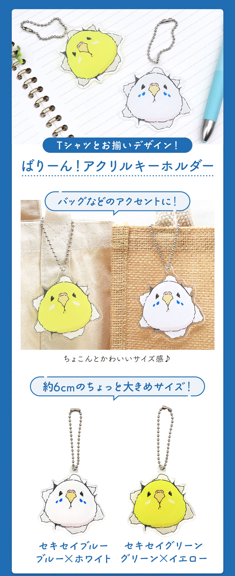 2026夏の福袋