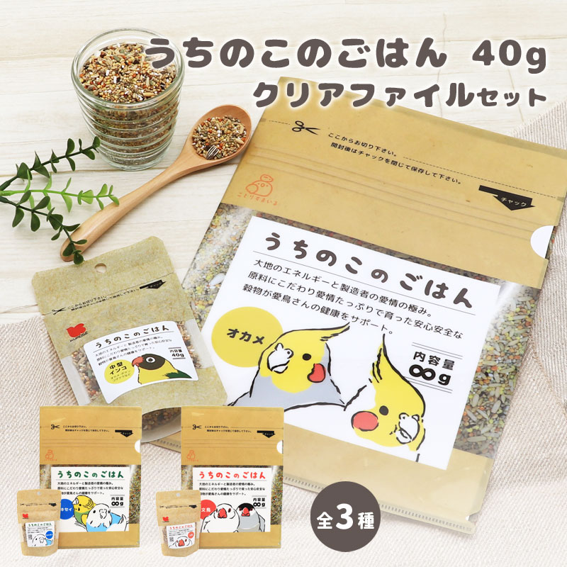 うちのこのごはん＆クリアファイル