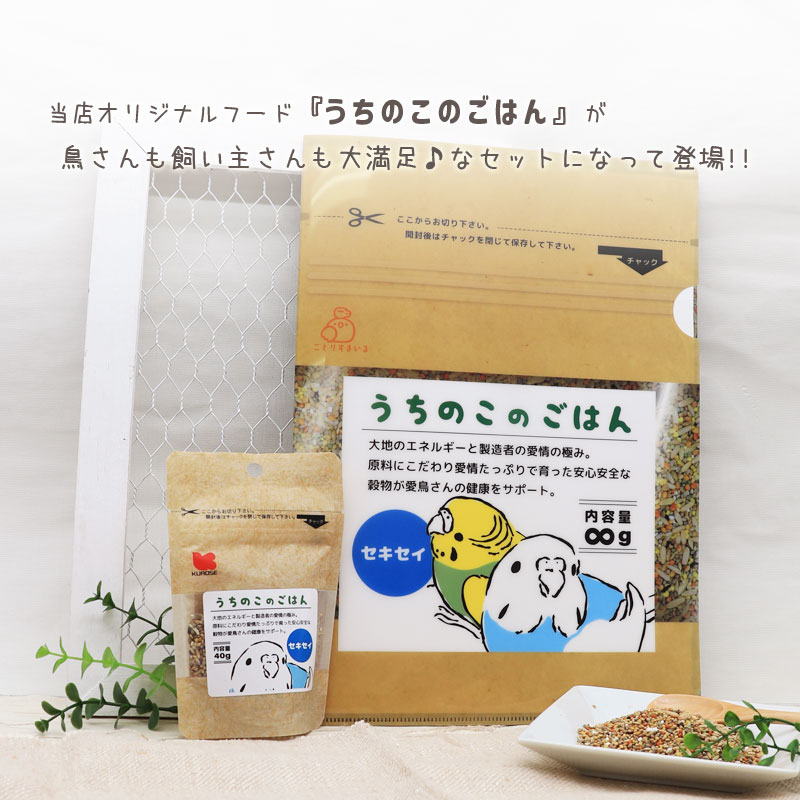 うちのこのごはん＆クリアファイル