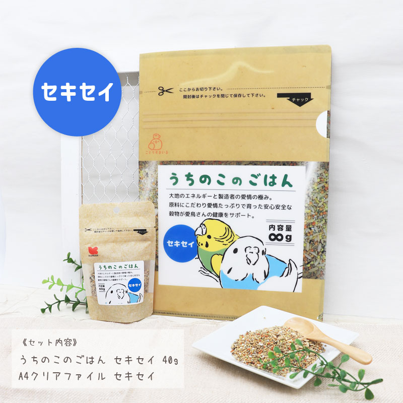 うちのこのごはん＆クリアファイル