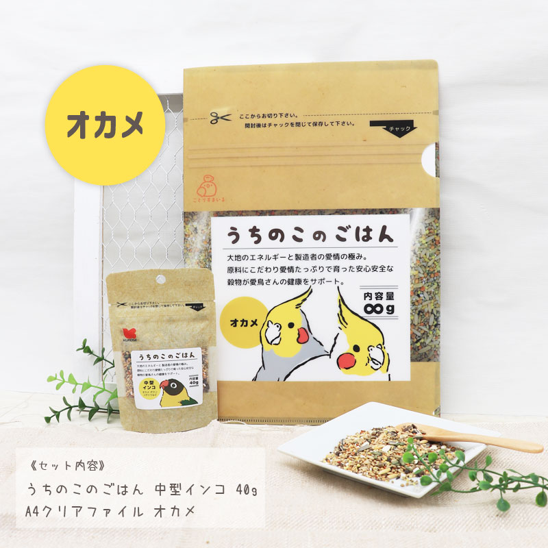 うちのこのごはん＆クリアファイル