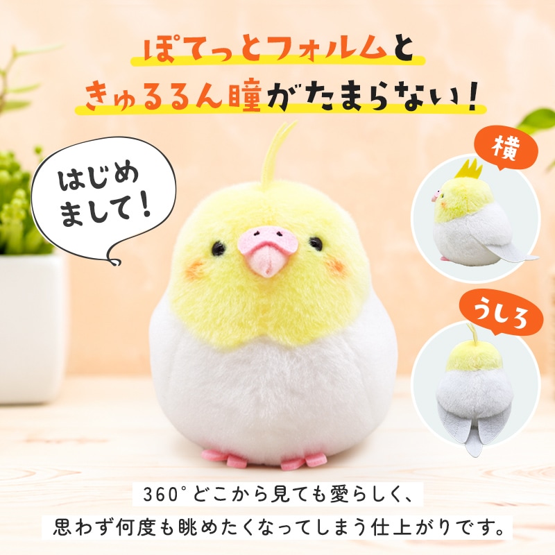 オカメぬいぐるみ