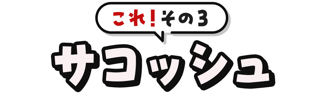 これ！その3 サコッシュ