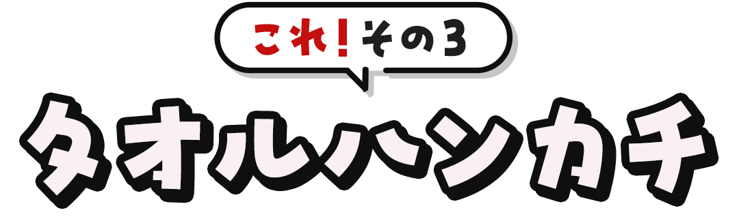 これ！その3	タオルハンカチ