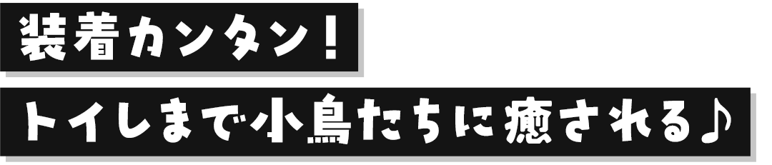 キャッチコピー