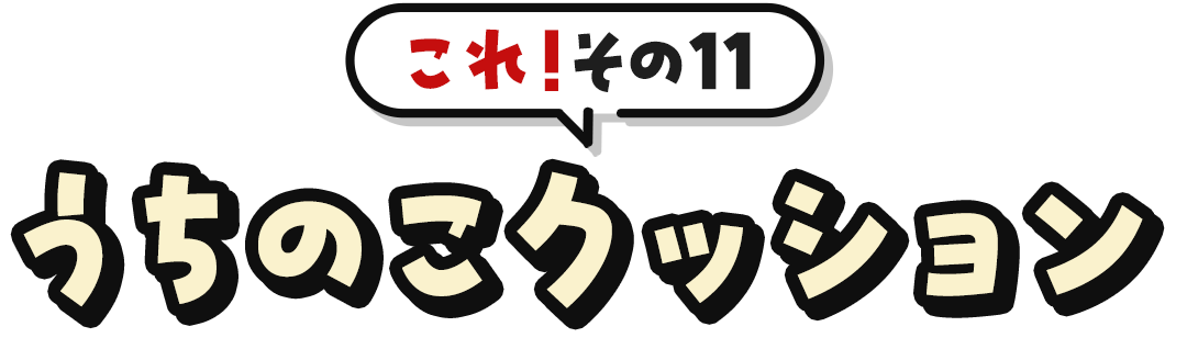 これ！その11うちのこクッション