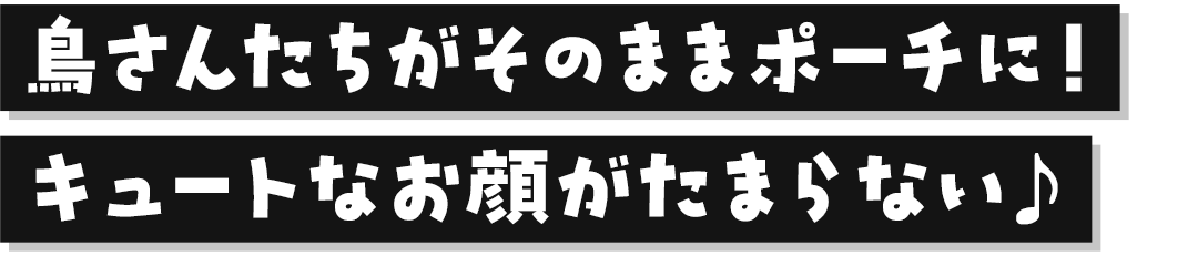 キャッチコピー