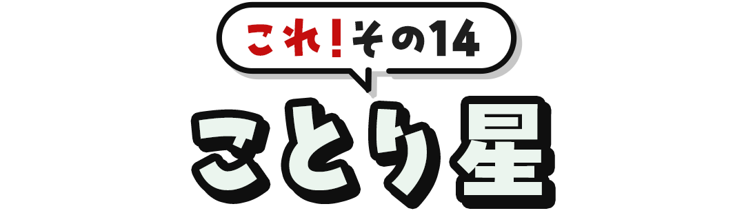 これ！その14	ことり星