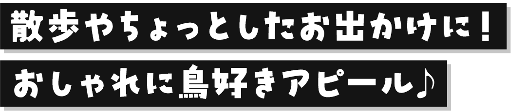 キャッチコピー
