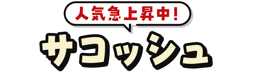 これ！その16人気急上昇中！サコッシュ