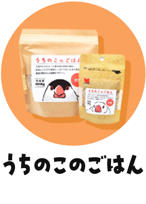 うちのこのごはん