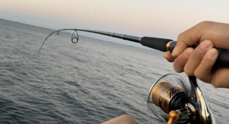 海で釣りをするリールを持つ手