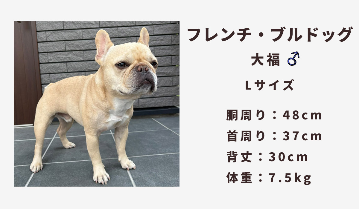 フレブル7.5キロ