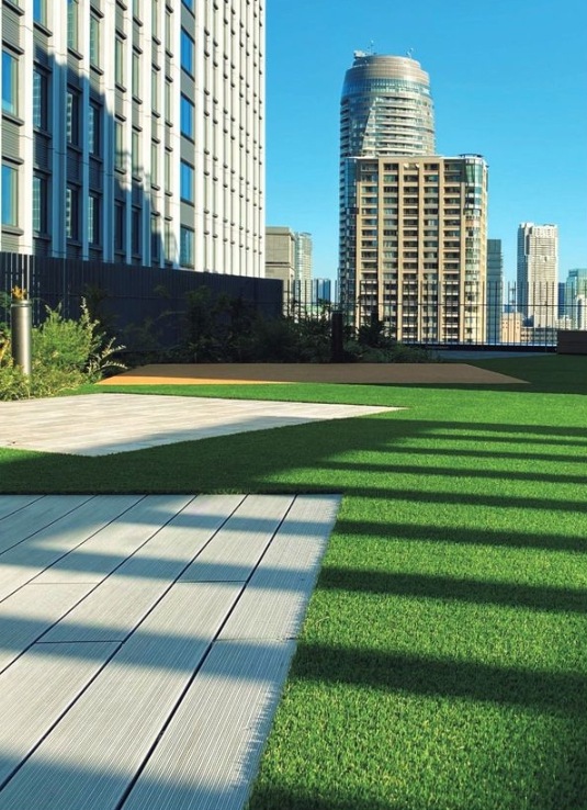 󥲥 ͹ 52 ȥ饯 10m