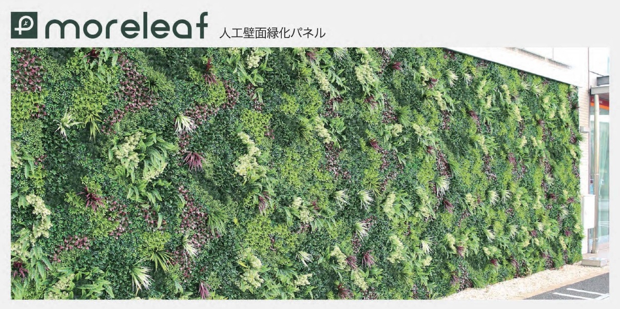 ˥ӥ moreleaf  ͹вѥͥ