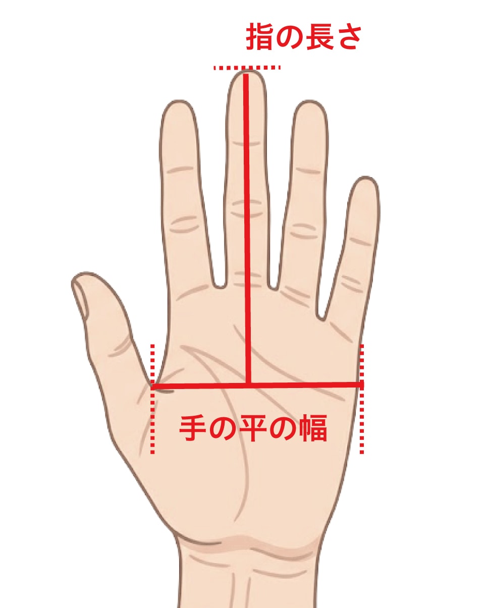 サイズガイド