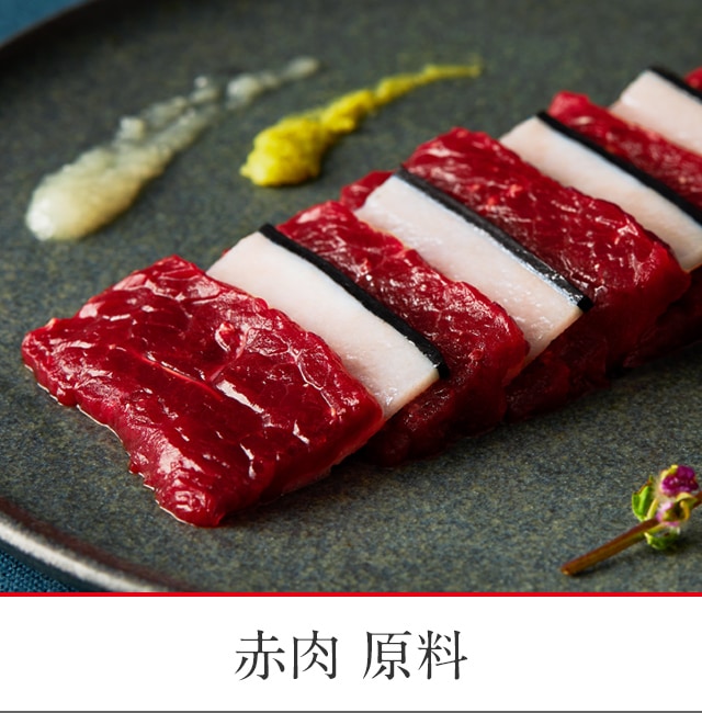 【ご確認用】イコリア 肉食島 日本語 1枚 ご確認用】イコリア 肉食島 日本語 1枚 肉食島の商品検索 |