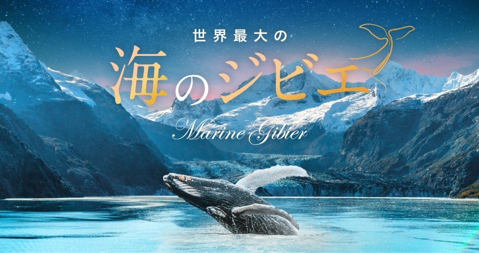 鯨肉の通販サイト｜くじらにく.com