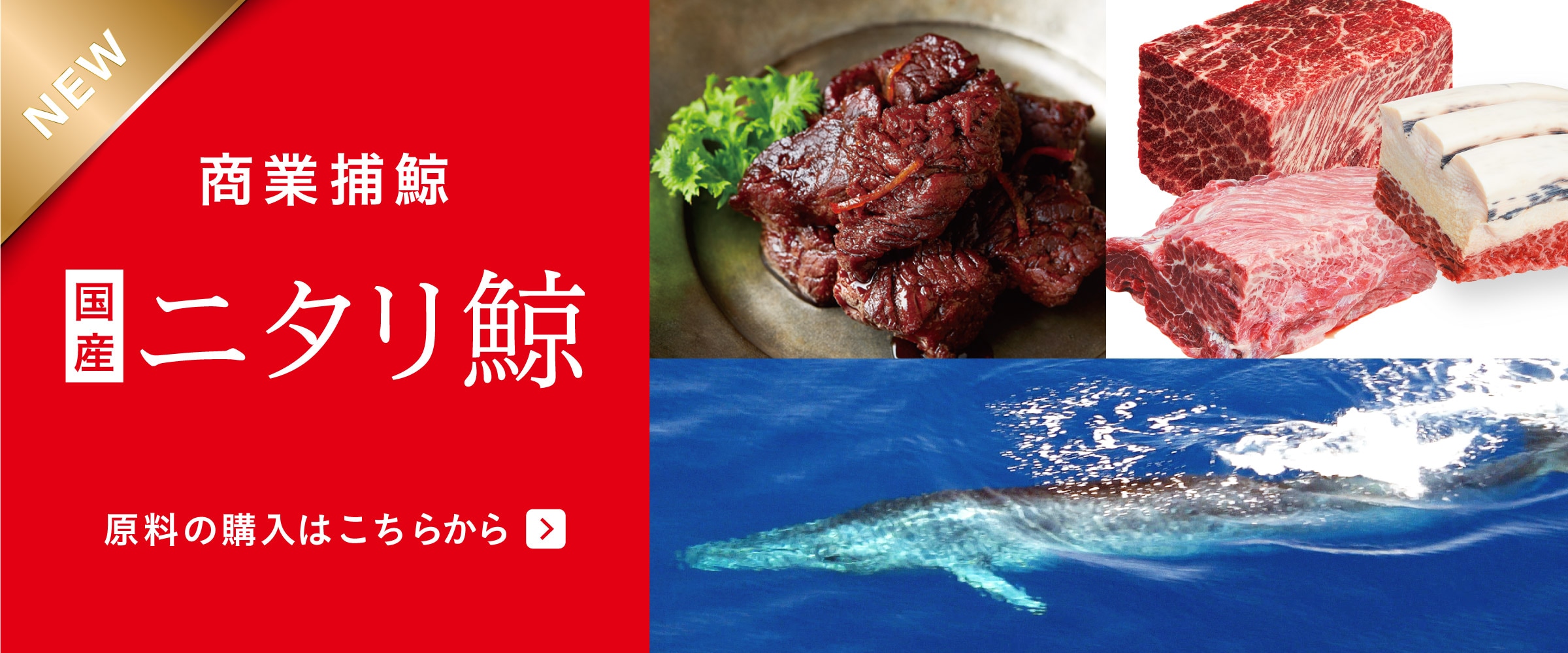 鯨肉の通販サイト｜くじらにく.com