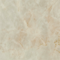 クッションフロアチップ画像HM12027